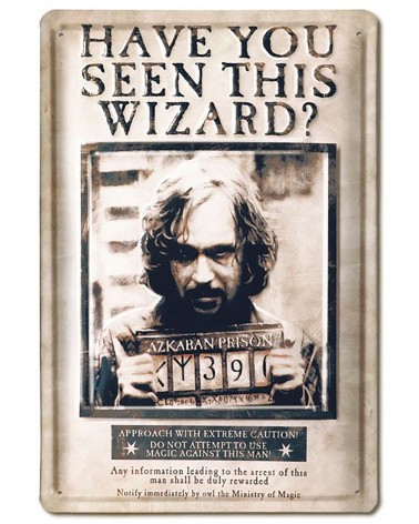 Acheter le panneau / plaque en Métal Have You Seen This Wizard