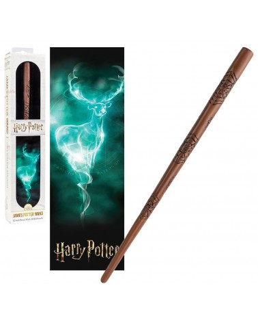 22 x 8 x 6 cm Harry Potter Présentoir en alliage solide et robuste,  pratique et pratique, convient à la plupart des baguettes magiques :  : Jeux et Jouets