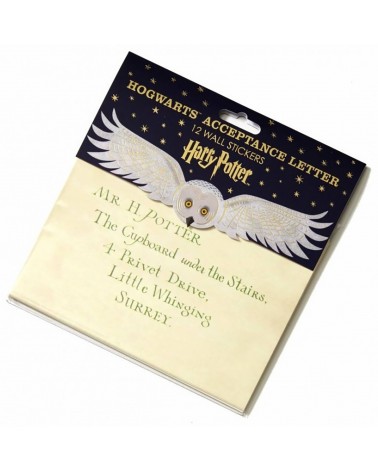 Set de 2 magnets MinaLima Harry Potter Lettre d'admission
