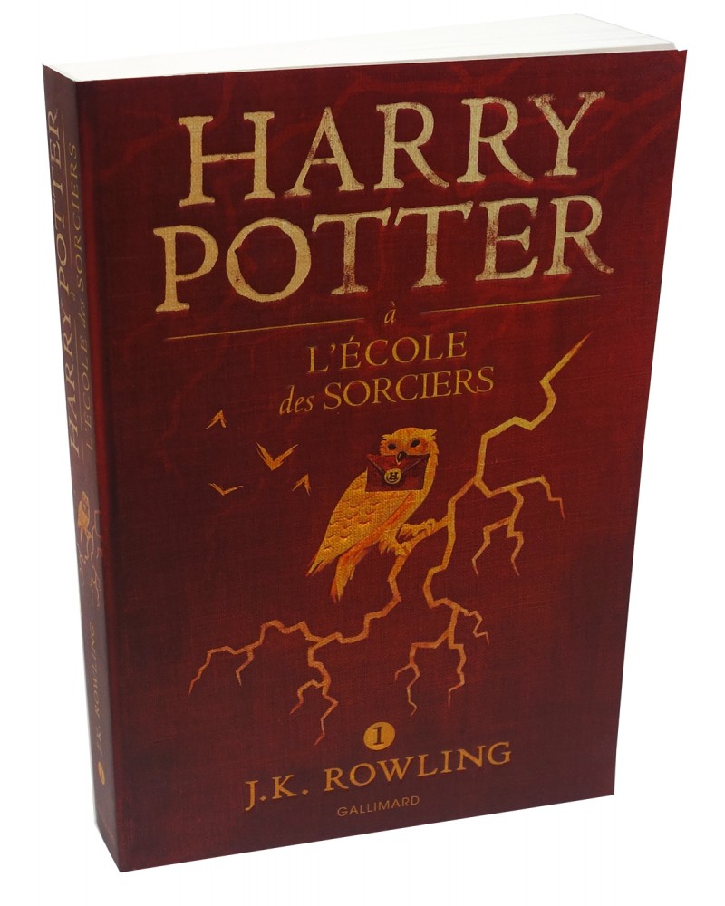 Harry Potter à l'école des sorciers : le livre fête ses 20 ans de